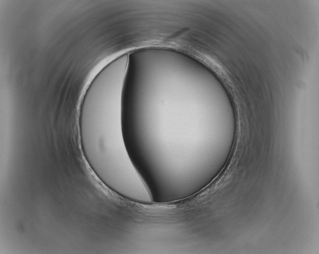 X0000115561200200911061141