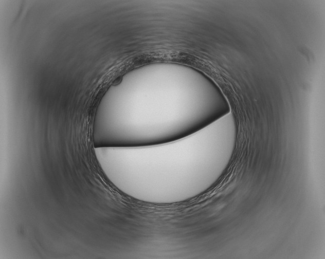 X0000115561202200911061140