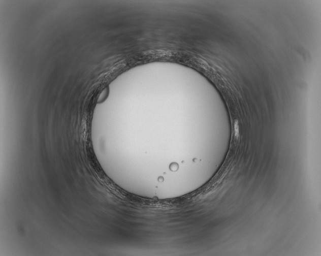 X0000115561203200911061140