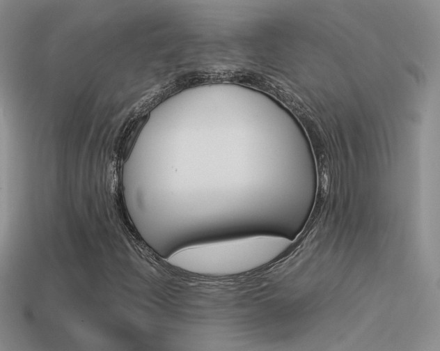 X0000115561204200911061140