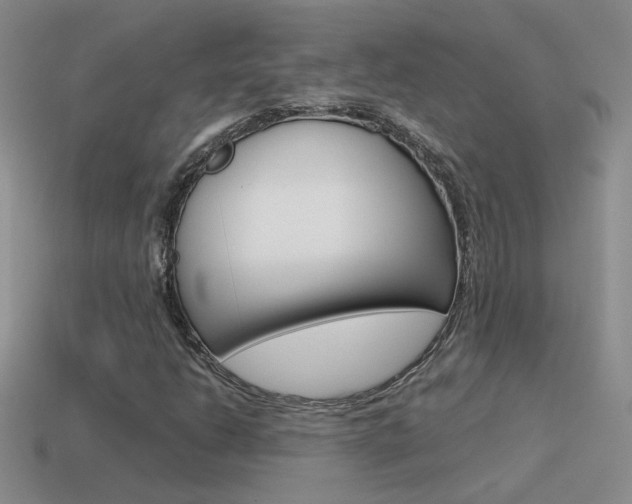 X0000115561206200911061140