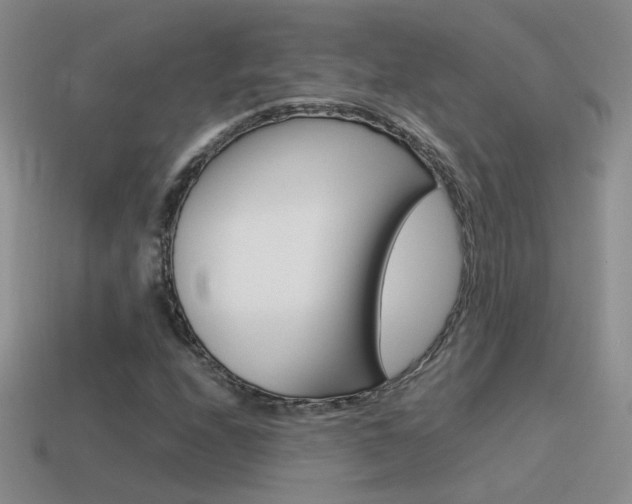 X0000115561208200911061140