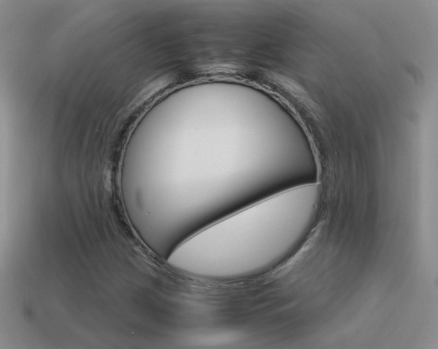 X0000115561209200911061140