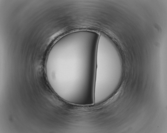 X0000115561210200911061140