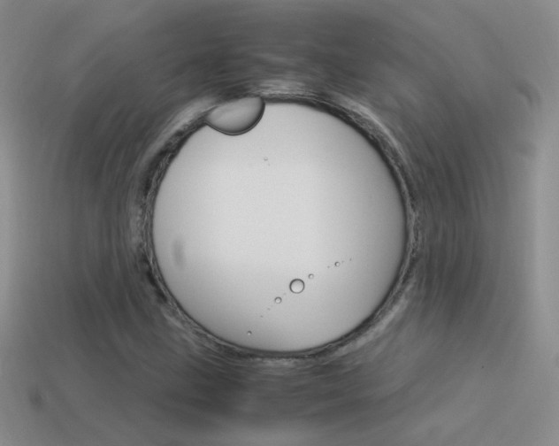 X0000115561211200911061140