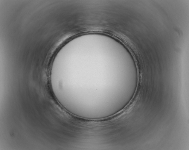 X0000115561212200911061140
