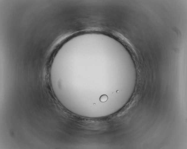 X0000115561215200911061140