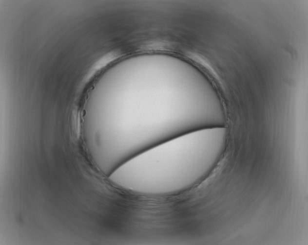 X0000115561219200911061140