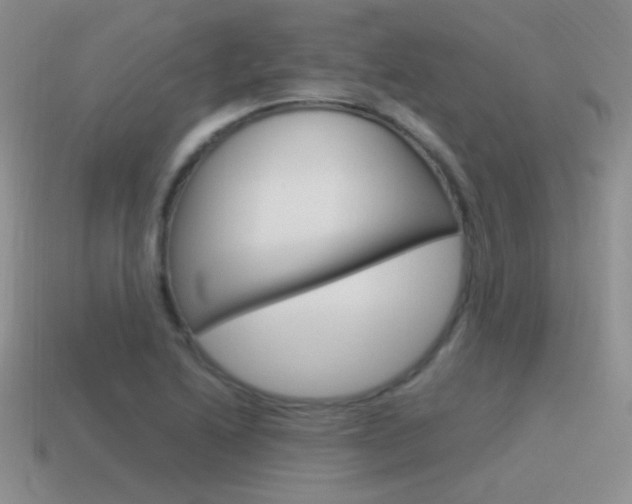 X0000115561222200911061140