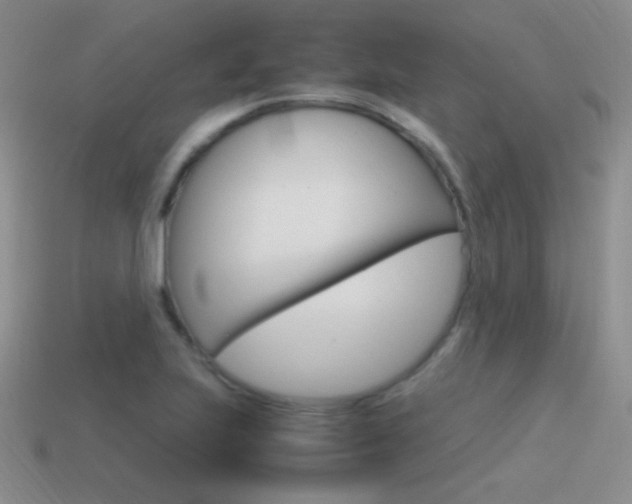 X0000115561223200911061140