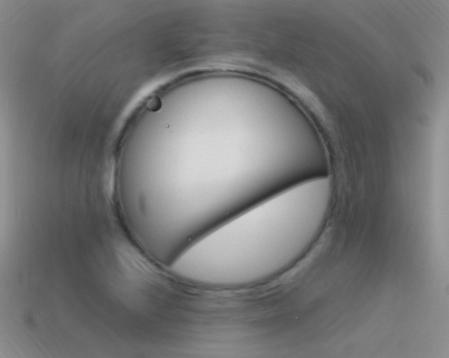 X0000115561224200911061140
