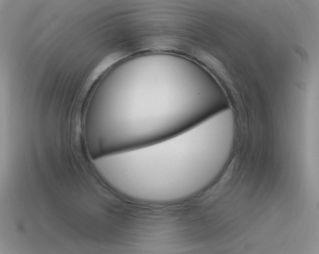 X0000115561226200911061140