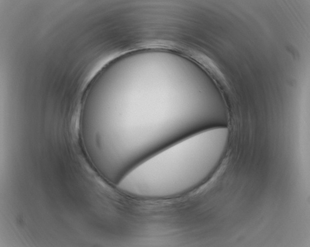 X0000115561228200911061140