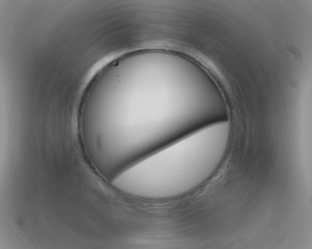 X0000115561230200911061141