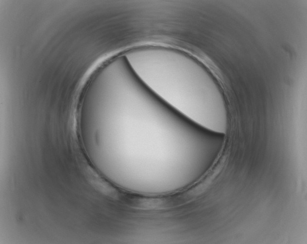 X0000115561232200911061141