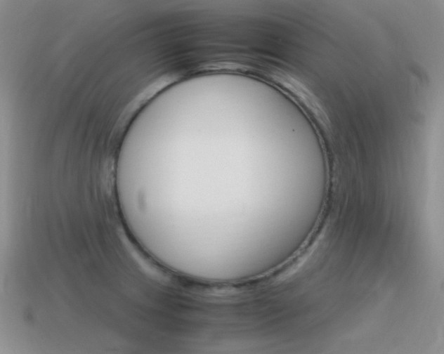 X0000115561233200911061141