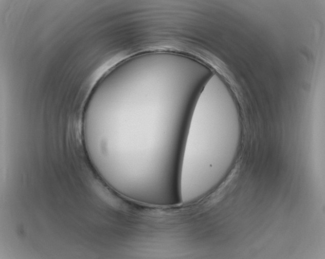 X0000115561234200911061141
