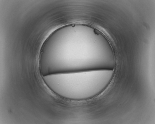 X0000115561236200911061141