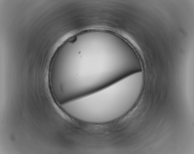 X0000115561237200911061141