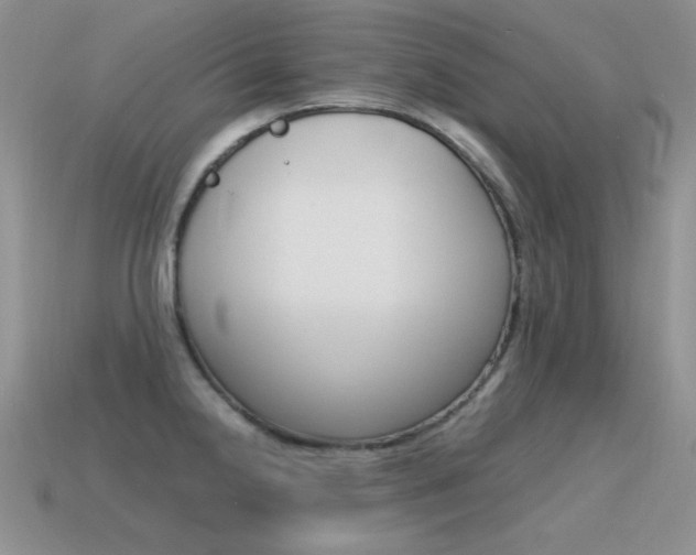 X0000115561238200911061141