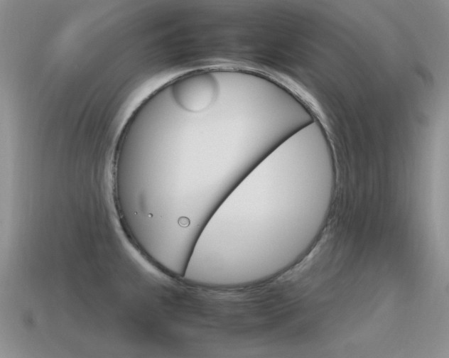 X0000115561239200911061141