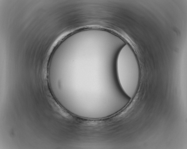 X0000115561240200911061141