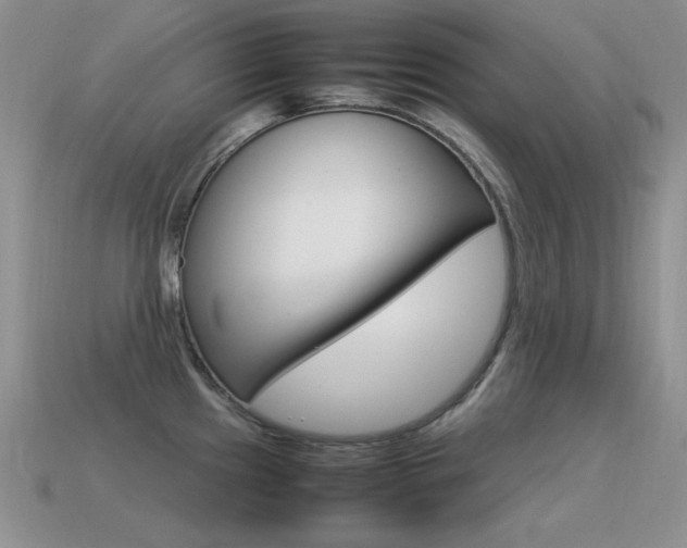 X0000115561241200911061141