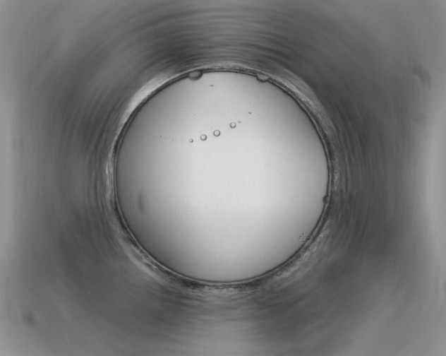 X0000115561242200911061141