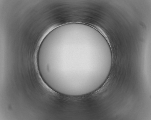 X0000115561243200911061141