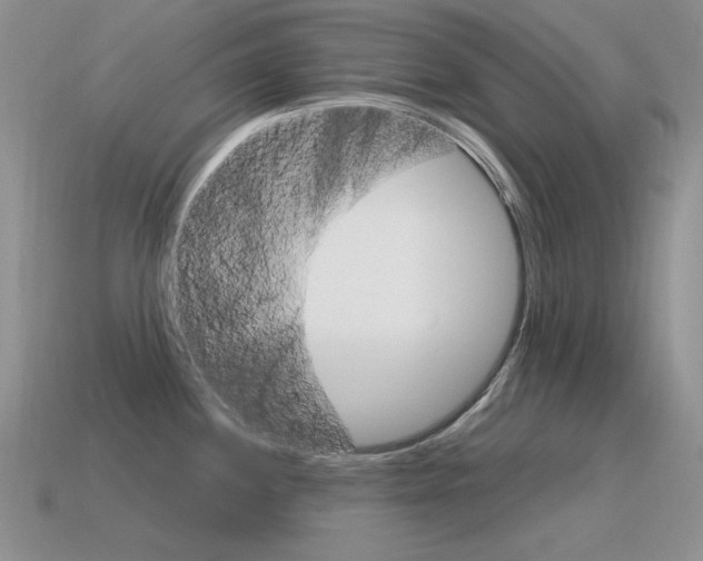 X0000115561244200911061141