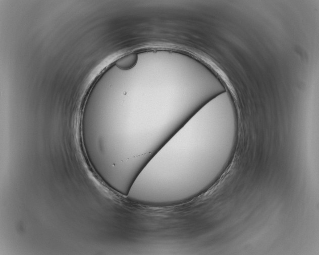 X0000115561245200911061141