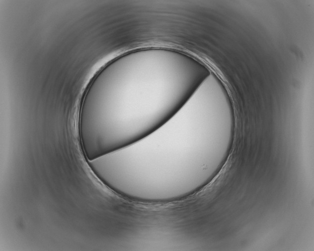 X0000115561246200911061141