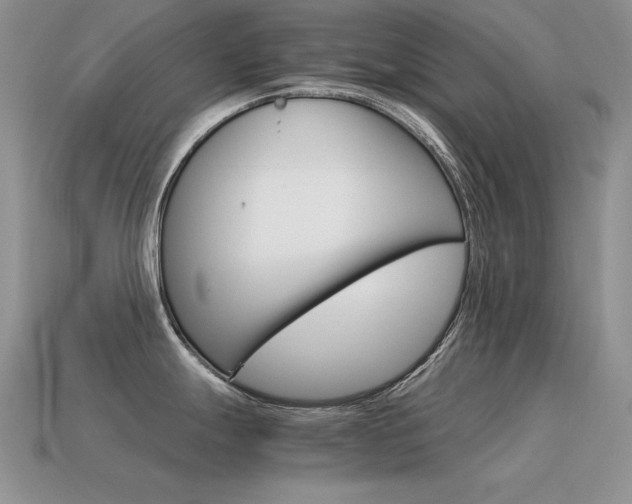 X0000115561247200911061141