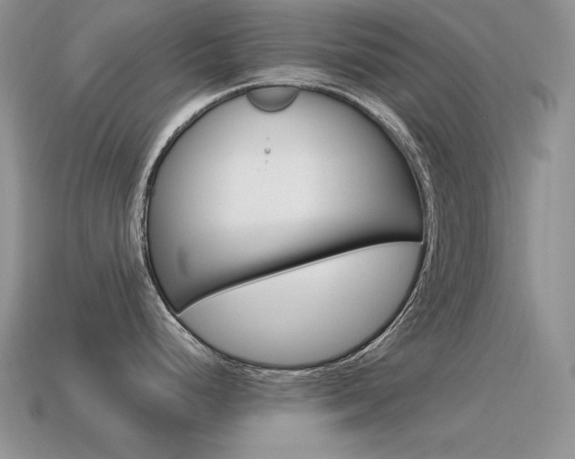 X0000115561248200911061141