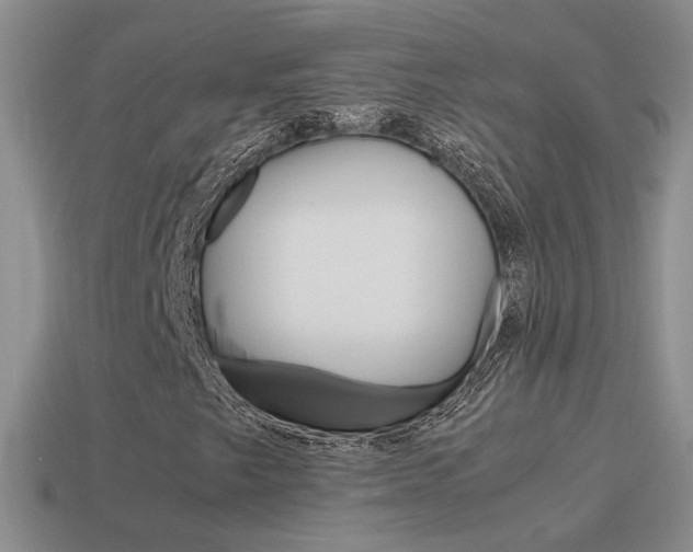 X0000115561249200911061140
