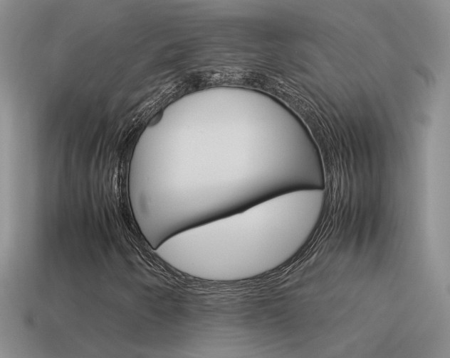 X0000115561250200911061140