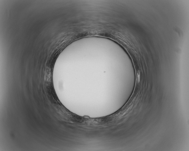 X0000115561251200911061140