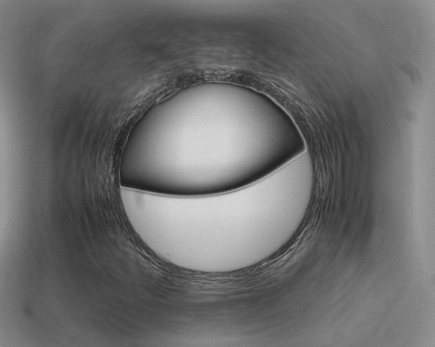 X0000115561252200911061140
