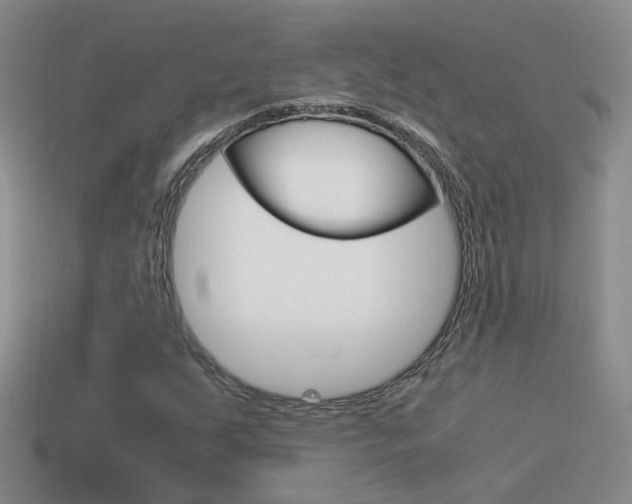 X0000115561255200911061140