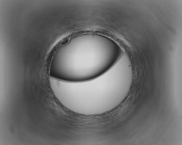 X0000115561256200911061140