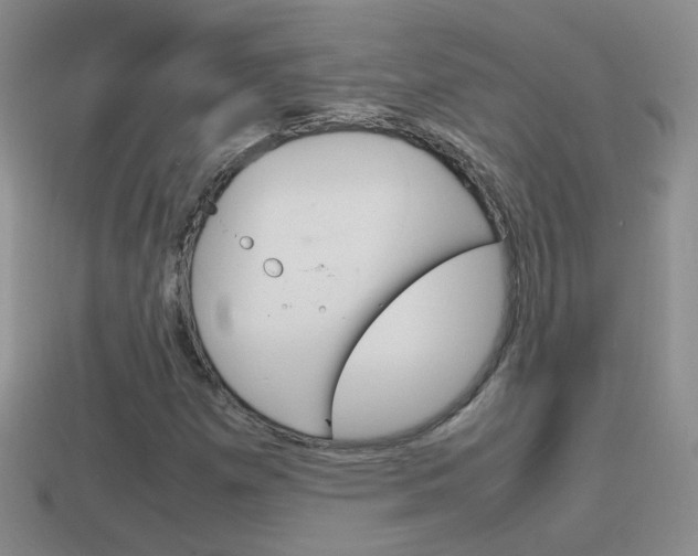 X0000115561257200911061140