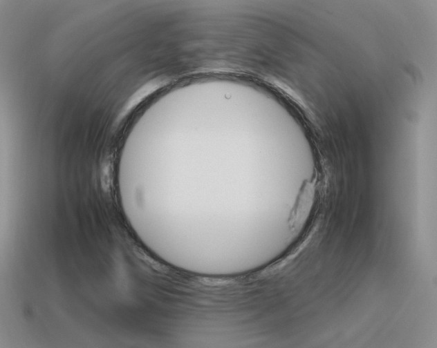 X0000115561258200911061140
