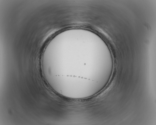 X0000115561259200911061140