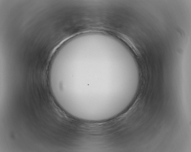 X0000115561260200911061140
