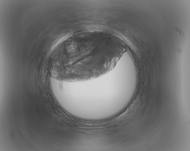 X0000115561261200911061140