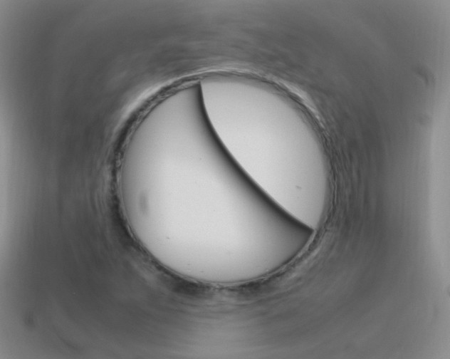 X0000115561263200911061140