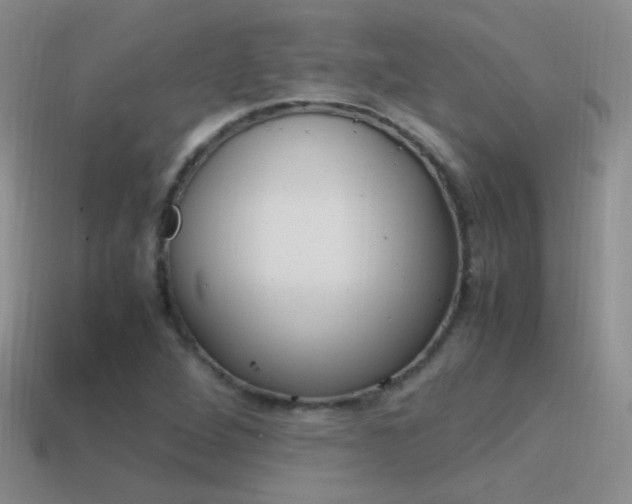 X0000115561264200911061140