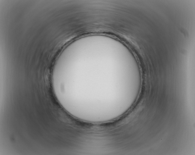 X0000115561265200911061140