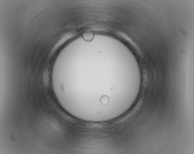 X0000115561266200911061140