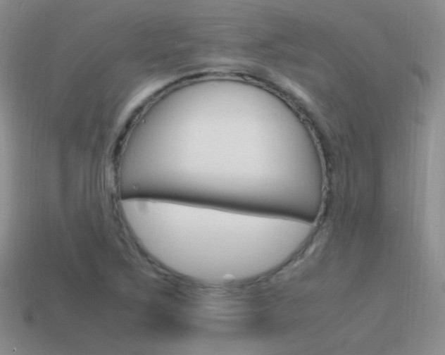 X0000115561267200911061140